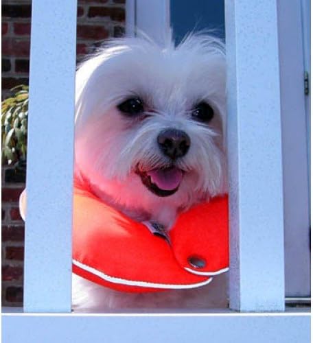 Reflective Glow Pup Bumper™ Keep Your Dog on The Safe Side of The Fence - Glow Orange Up to 10"