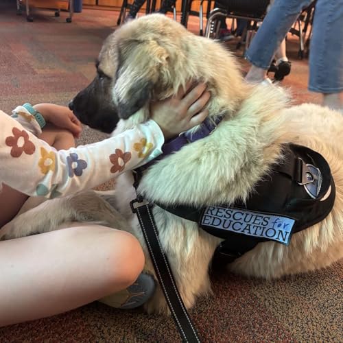 0702: Rescues for Education with Zac Wiemers