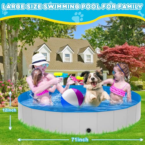 STUDESK Piscina Dobrável Extra Grande Para Cães, 71