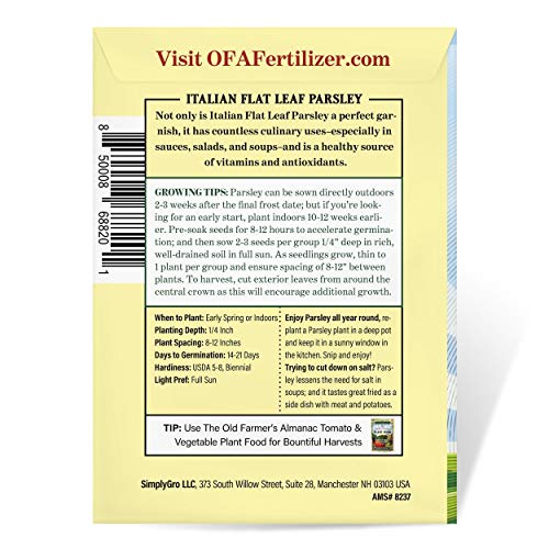 The Old Farmer's Almanac Heirloom Parsley Seeds (Dark Green Italian Flat Leaf) - Approx 1500 Seeds - Non-GMO, Open Pollinated, USA Origin - Image 2