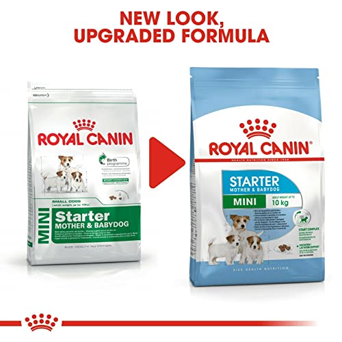 Royal Canin Mini Starter Mother & Babydog | 4 kg | Alleinfuttermittel für kleine Hunde | Trockenfutter für Hündinnen im letzten Drittel der Trächtigkeit und während der Säugezeit