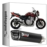 POT ECHAPPEMENT HOMOLOGUE CAT-OEM