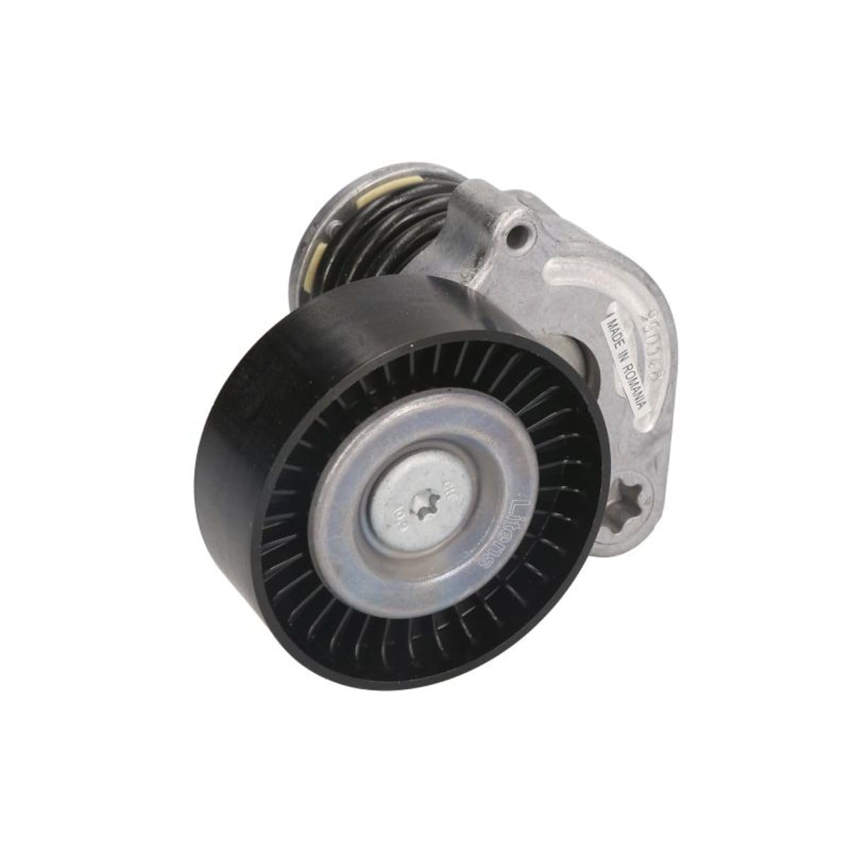 INA 534 0370 10 Braccio tenditore Cinghia Poly-V
