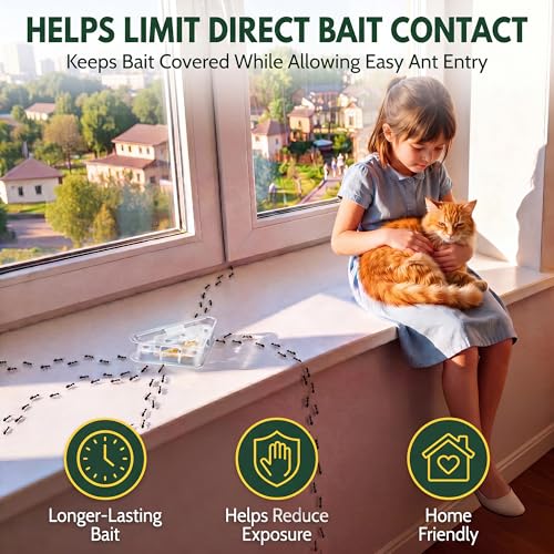 Image of Qualirey Ant Bait Stations Reusable (Bait NOT Included), Multi Surface Ant Killer Trap for Home Control for Indoor and Outdoor Roach Station for Common Household(Triangular,Clear,8 Set)