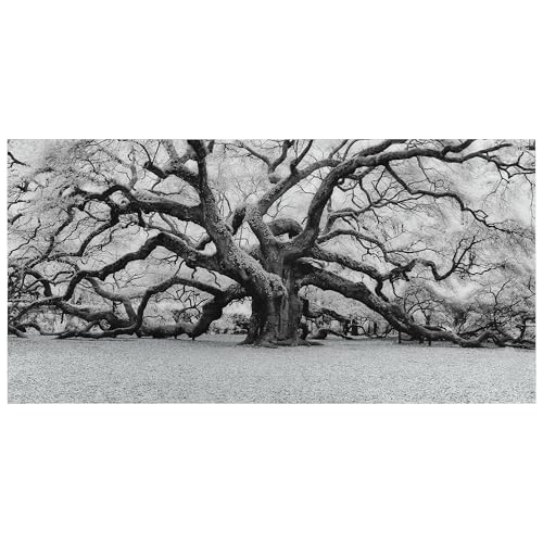 Empire Art Direct Big Tree Art