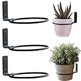 【Materiales de Alta Calidad】 Nuestro anillo de metal para colgar en la pared para macetas está hecho de hierro de alta calidad y la superficie ha sido pintada electrostáticamente a alta temperatura. Robusto, seguro y confiable.