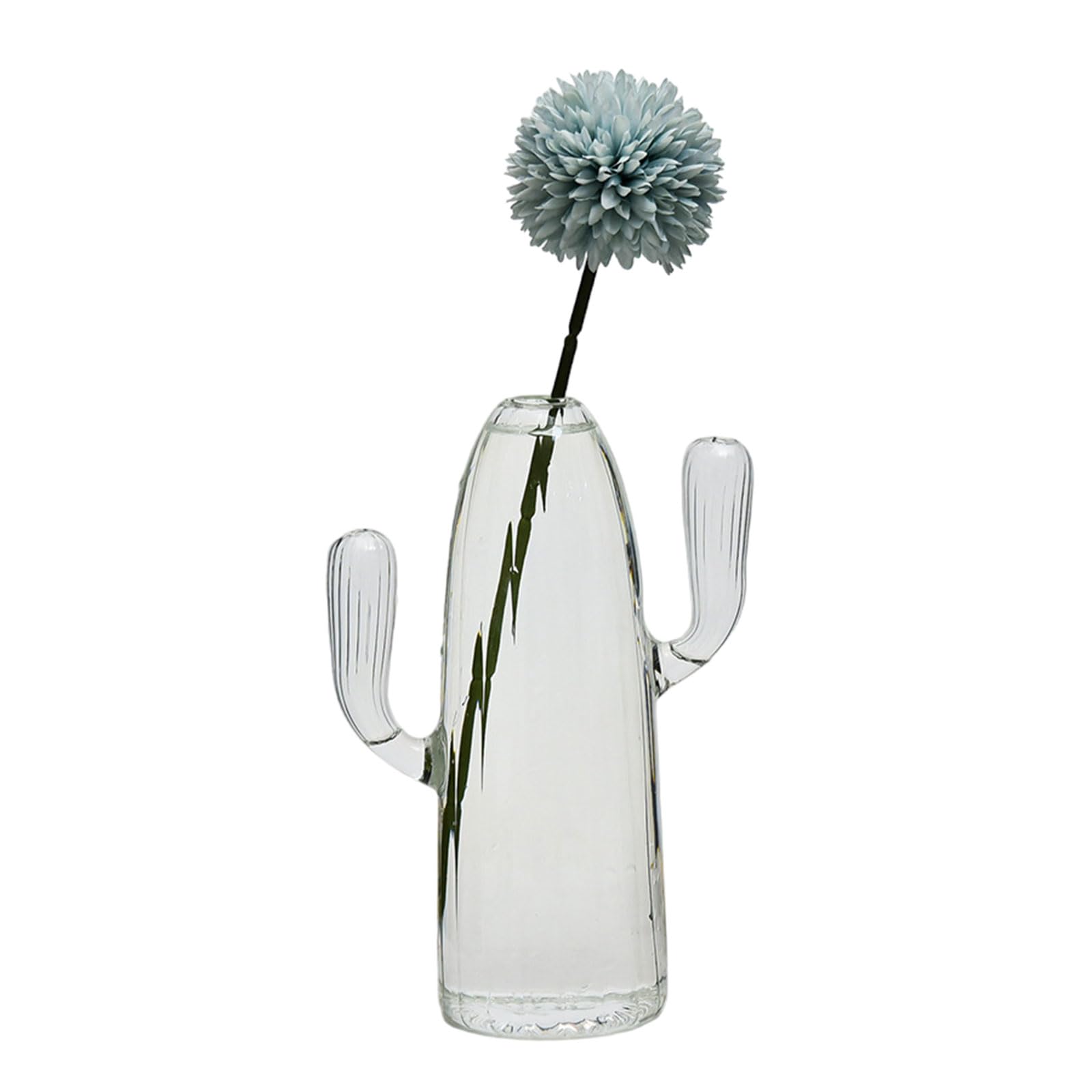 Cactus Glass Vase for Desk Decorations Fashionable Glass Vase Hydroponics Plant Decorative Craft Livingrooms