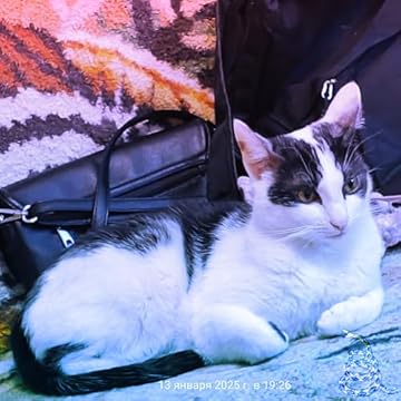 Переулок, 5 утра