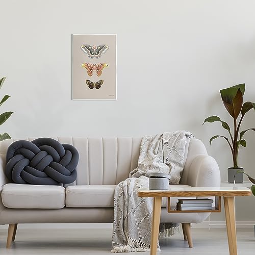 Image of Vintage Moth Specimens, 13 x 19 Inch Mounted Print on Wall Plaque