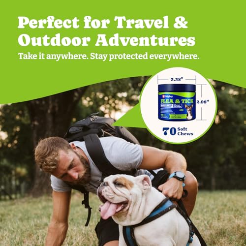 Image of Flea & Tick Prevention for Dogs Chewables, Natural Dog Flea and Tick Control Treatment, Oral Flea Pills, Dogs Supplement, Natural Shield 5-in-1 Protection, Beef & Carrot Flavor, 70 Soft Chews