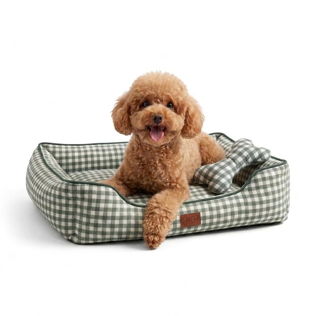 PESK Medium Dog Bed 67 x 57 x 18 cm with Bone Toy, Padded Fibre Filling, Washable Small Dog Bed, Resistant Bites, Medium Dog Beds Non-Slip, Dog Bed (Green, S)
