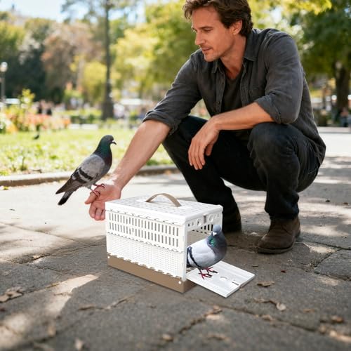 Cage d'oiseaux - Cage Pliable, Double Verrouillage, Transport de Transport d'oiseaux Portable | Lightweight Bird Carrier for Intérieur Travel Transporrt Yard Training Domestication Competition – Image 3