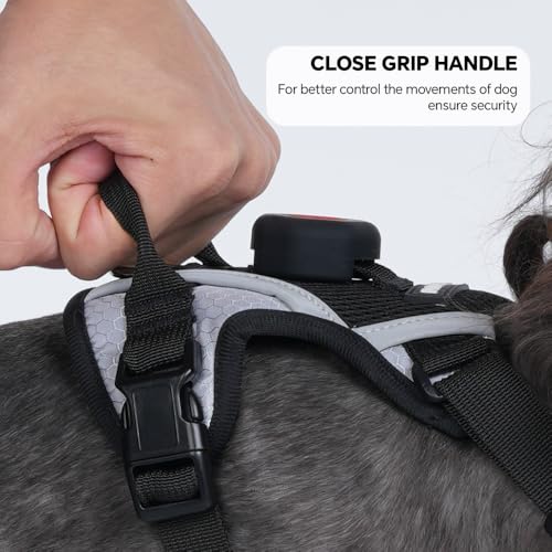 Cat Harness Leash Set with AirTag Holder, Upgraded Escape Proof Vest with Lead for Large Cat Small Dog Puppy Outdoor Walking, Soft Breathable Mesh Jacket with Reflective Strip (Black, L) - Image 7