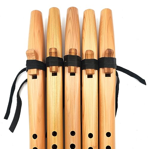 Atrofy B000FS Native American Style F Sharp Flute thumb #7