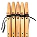 Intermediate Native American Style F Sharp Flute Package with Book (Bag Not Included) by Stellar Flutes