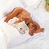All-for-Paws-Puppy-Anxiety-Relief-Comfort-Toy-Soothing-Dog-Toy-Heartbeating-Dog-Stuffed-Animal-Toy-Behavioral-Aid-Warm-Toys-for-Puppies Behavioral Aid Warm Toys for Puppies