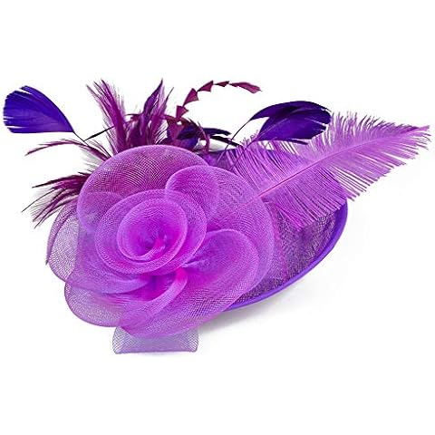 Elegant Feather Fascinator Hat with Clip Cover