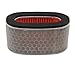 Air Cleaner Filter for Honda Shadow ACE 750 VT750C VT750DC