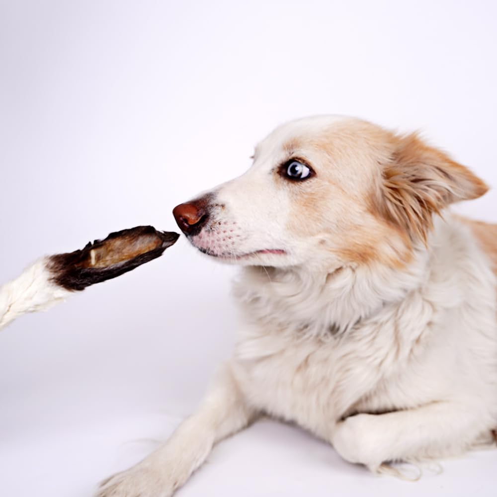 Natürlicher Snack für Hunde, gesund, lange Kauen, proteinreiche Leckereien für Zahnpflege und Unterhaltung, natürliche Auszeichnungen für erwachsene Hunde und Welpen (500 g, Kaninchen)
