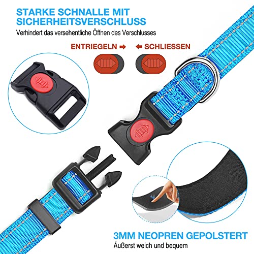 haapaw reflektierendes Hundehalsband gepolstert mit weichem Neopren atmungsaktiv einstellbar Nylon Hundehalsbänder für kleine mittlere große Hunde