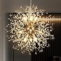 Hoeuns Chandeliers Crystal Pendant Lights Fixtures