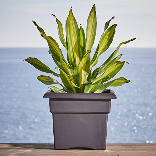 Bloem Fiskars 18 Inch Veranda 5 Gallon Box Planter, Black (57918), 18" #TOP4