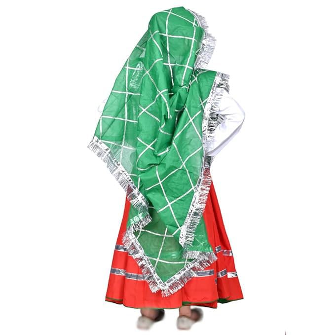 Image of Traditional Haryanvi Girls Dance Costume, Complete Set with Ghagra and Oidhni Dupatta, Indian State Cultural Dress