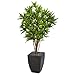 Nearly Natural Dracaena Artificial Black Planter Silk Trees, Green
