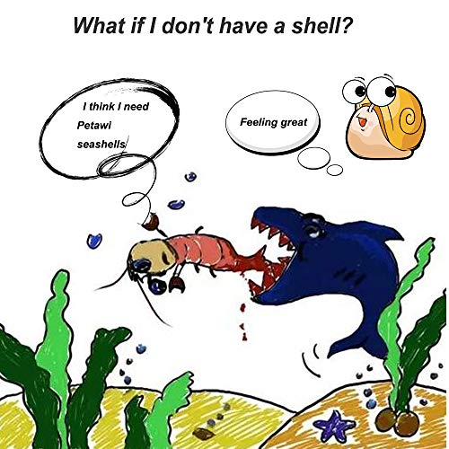 Petawi Hermit Crab Shells Large Medium XLarge Natural Growth Shells for Hermit Crab Variety Turbo Seashells Sea Conch No… - Image 5