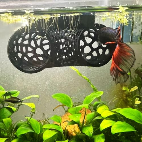 Image of Floating Betta Tunnel for Betta Training. Interactive Training & Enrichment Toy for Betta Fish - Stress Relief & Exercise Accessory, Floating Betta Fish Toys