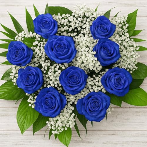 Großer Blumenstrauß - 10 blaue Rosen und Schleierkraut - Rosenstrauß inklusive gratis Grußkarte