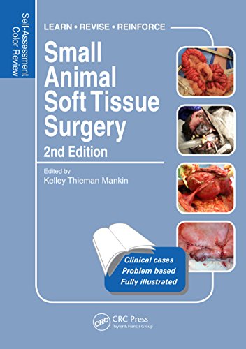 Small Animal Soft Tissue Surgery: Self-Assessment Color Review, Second Edition (Veterinary Self-Asse Livre eBook France