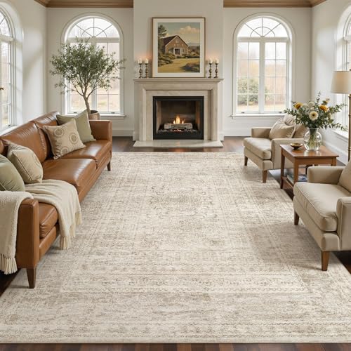 Nakagishi Neutral 10x14 Area Rugs for Living Room Washable, Beige Brown