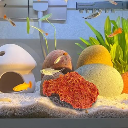 Image of Balacoo Aquarium Coral Reef Ornament 5.11 x 3.93 x 2.75In | Resin landscape, Fresh and saltwater tanks, Aquarium setup