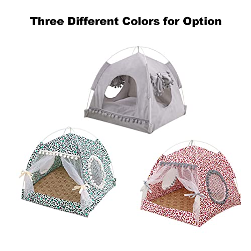 Mascotas, Pet Products Imagen adicional