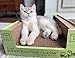 Scratch Lounge Cardboard Cat Scratcher & Lounger for Large Cats - XL 13x22 with Reversible Floor & Catnip - Heavy Duty Durable Bed Lasts 10x Longer Than Conventional Scratchers