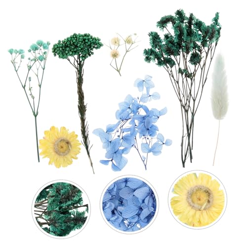 Flores naturales prensadas para manualidades y decoración miniatura 2