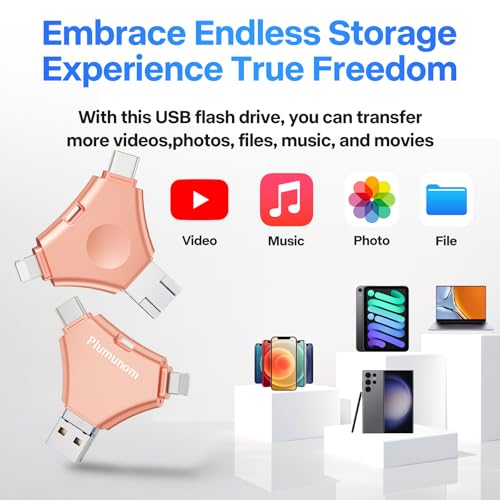 Clé USB pour iPhone compatible iPad et Android pour vos vacances en famille - 4