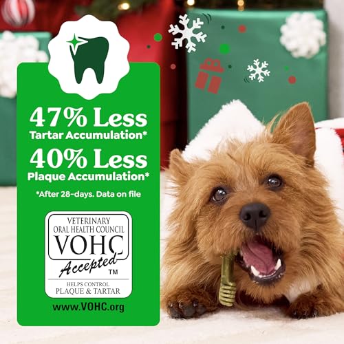 Image of Greenies Veterinarian-Recommended, Limited-Edition Natural Dental Dog Treats Teenie Size, Gingerbread Flavor, 6 oz. Pack, 22 Count