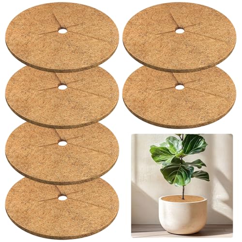 Legigo 6pcs Coconut Fiber Mulch Ring Tree Plant...