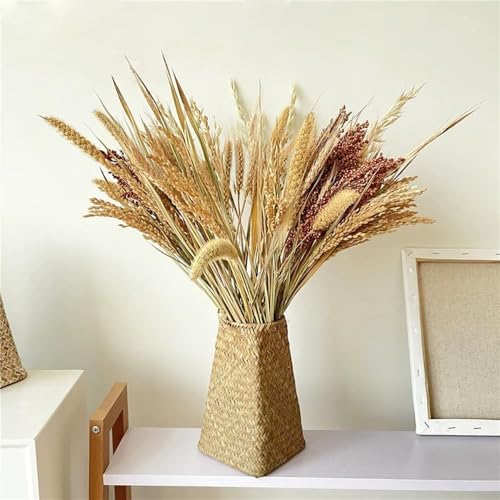 Espigas de Trigo Secas, 100 Piezas Decoración Natural miniatura 4