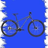 BICICLETA CANNONDALE TRAIL 6 SUB M CINZA