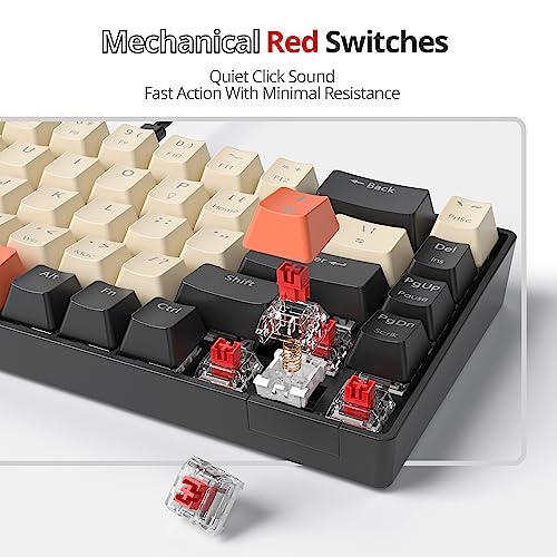 Image of 65% Mini Wired Keyboard RGB Blacklit for Office Gaming(68 Carbon)