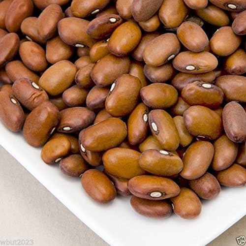 Amazon 10種 スウェーデンの茶色の豆種子は もともとスウェーデンで開発された種の豆です 10種 種
