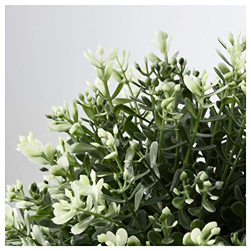 Image of Artificial Potted Plant Thyme | Realistic Polyethylene Plastic Greenery for Home, Office & Table Decor | Low Maintenance Faux Plant with Pot for Indoor Decoration & Gifting (Green)