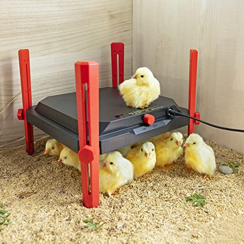 Poultrykit Brooder Heater For Chicks 12" X 12" For 25 Chicks, Safe Dc Powered Chicken Brooder, Brooder Heater Plate With Lcd Show Temperature, 30W Adjustable Power #TOP6