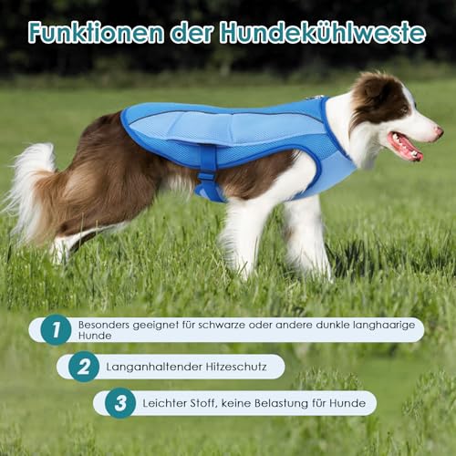 Katzinst Kühlweste für Hunde, Hundekühlweste mit Reflektierenden Streifen, Sonnenschutz Sommer Leichte Atmungsaktive, Spazierengehen Wandern, Kühlweste für Mittelgroße Hunde,Beagle,Blau XL