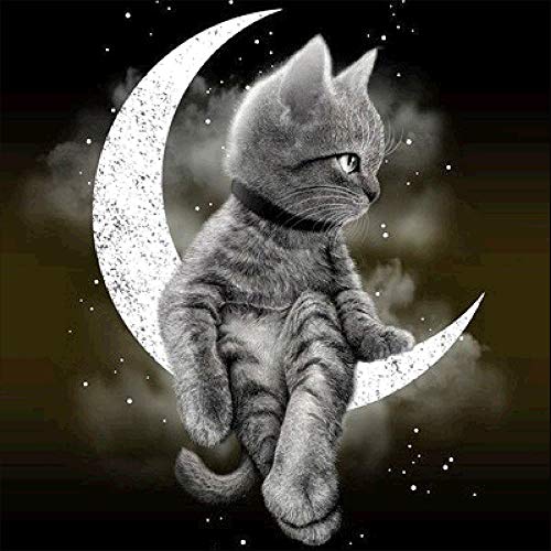 BELLCAT Cat Diamond Painting- 5d Diamond Painting Kits, Full Coverage, Round Rhinestone, DIY Tool Kit Art - Fun Gift for Adults&Children, Craftwork for Indoor Décor (cat Over The Moon,12