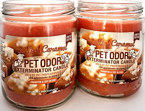 SPECIALTY PET PRODUCTS Pet Odor Exterminator Candle, Salted Caramel,13 oz