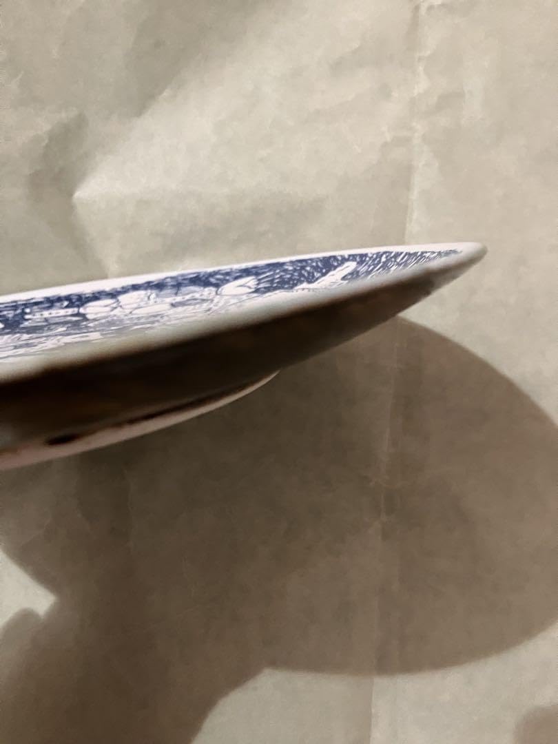 Amazon.co.jp: ミシャコシャ mizacosha 皿 直径約19.5cm : ホーム